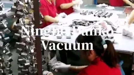 Brass Logo Accessory PVD Coating Machine Gold Plating Plant 