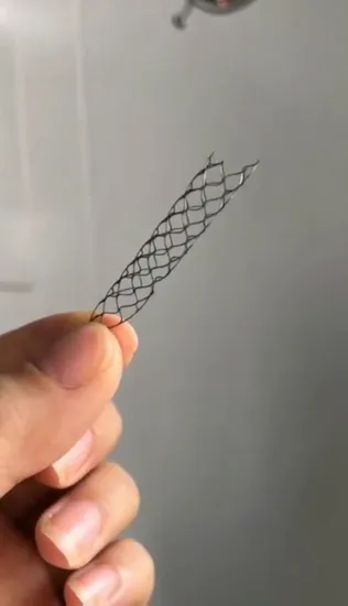 Ultra Precision Nitinol Blood Vessle Balloon Expandable Stent Laser Cutting Machine for Small Tube 